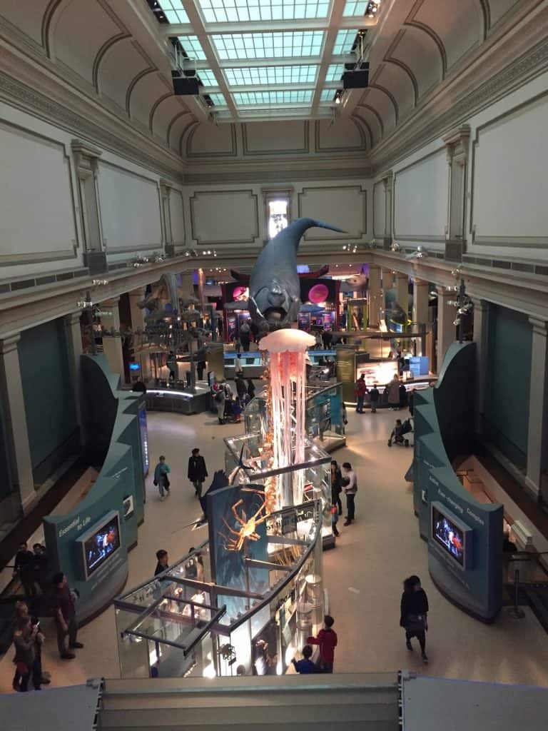 Smithsonian National Museum of Natural History in Washingon DC