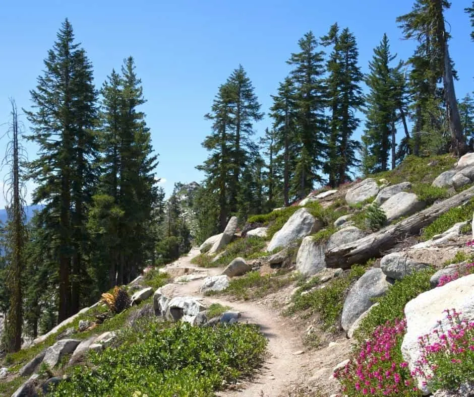 Tahoe Rim Trail in North Lake Tahoe