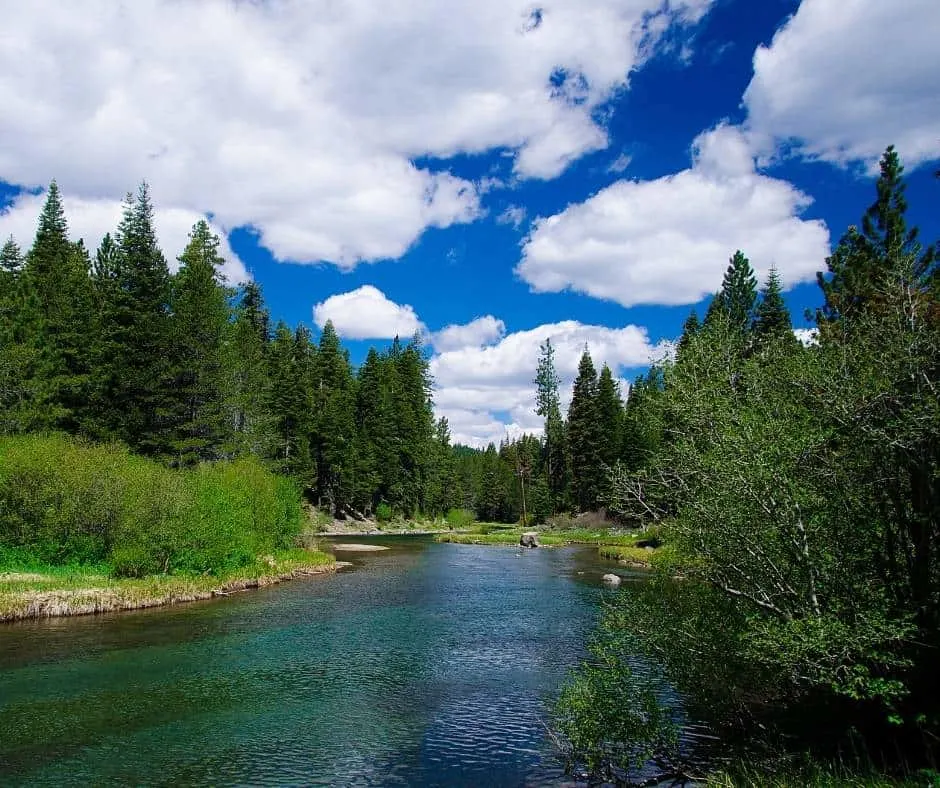 Truckee River in North Lake Tahoe