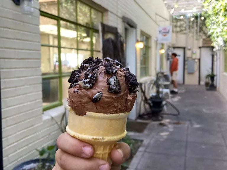 Novel Ice Cream in Mesa