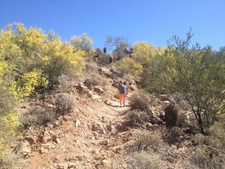 Vista Trail at Usery Mountain Regional Park in Mesa