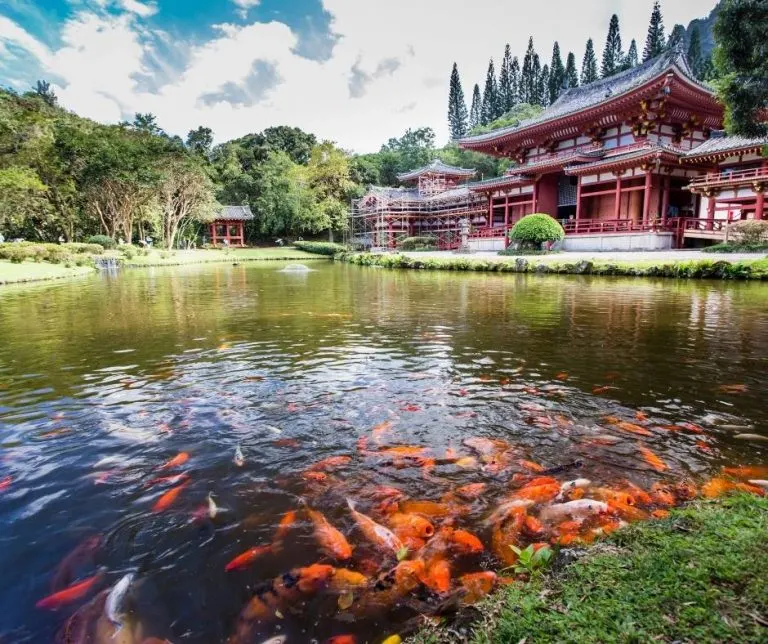 Byodo-InTemple in Oahu