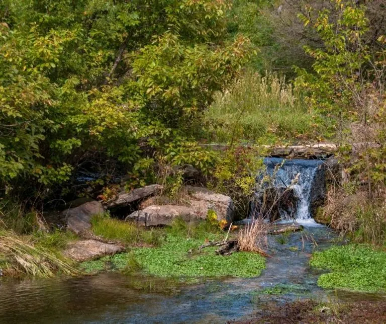 Chickasaw NRA is one of the great thigns to do in Oklahoma with kids