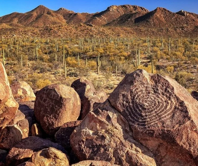 Signal Hill Trail Saguaro National Park