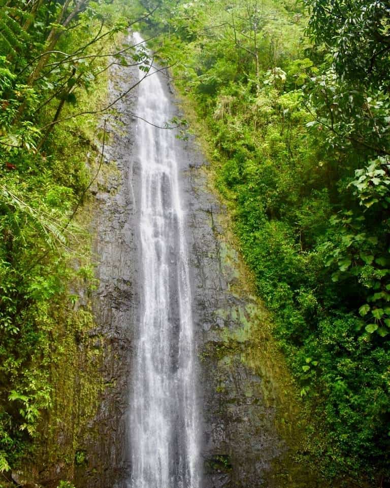 Things to do in Oahu with kids include hiking to Manoa Falls