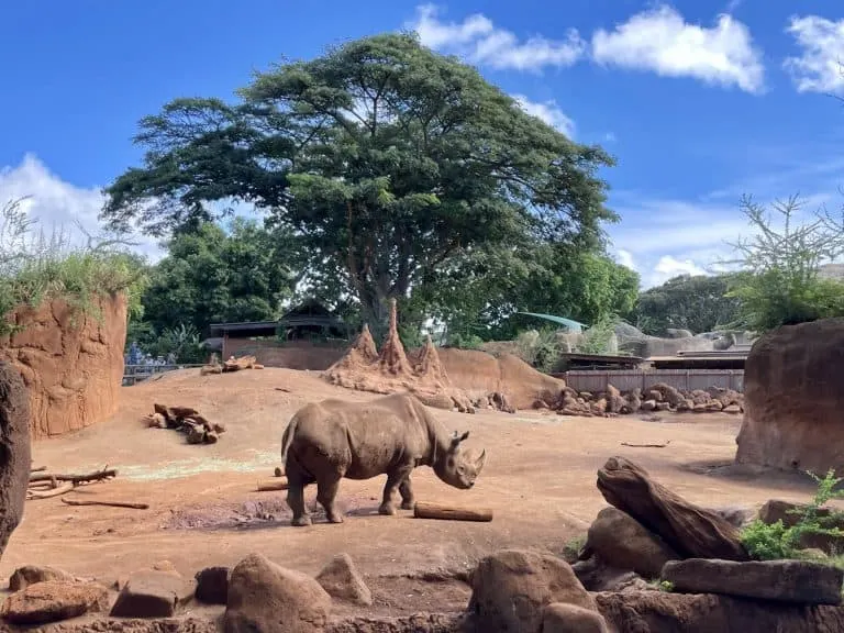 Honolulu Zoo in Oahu