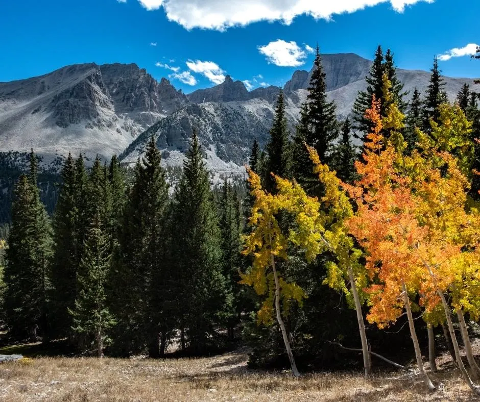 Where is Great Basin National Park?