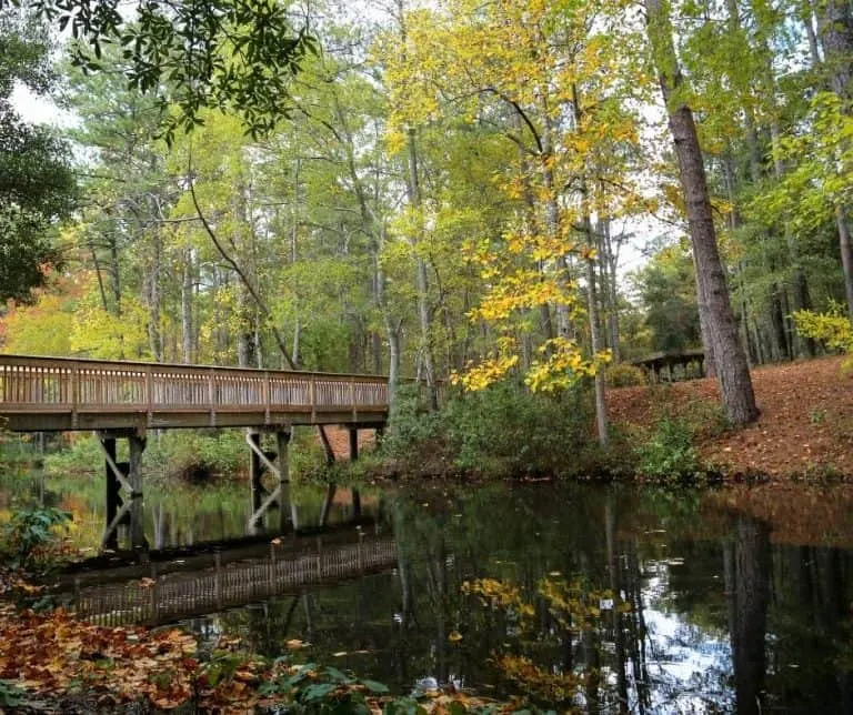 Sesquicentennial State Park in Columbia, SC