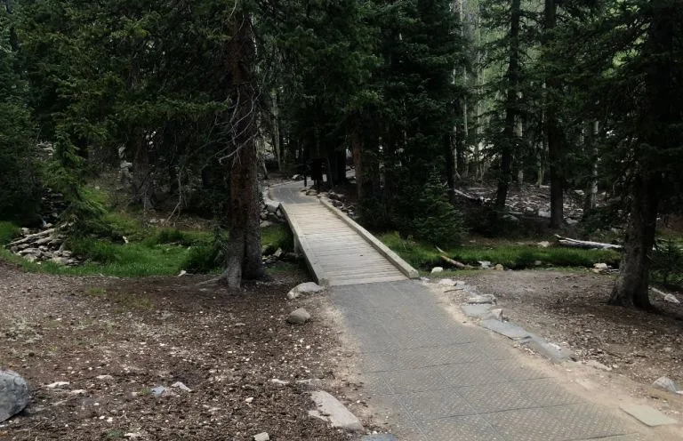 Sky ISlands Forest Nature Trail in Great Basin National Park