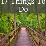 Things to do in Columbia SC with kids