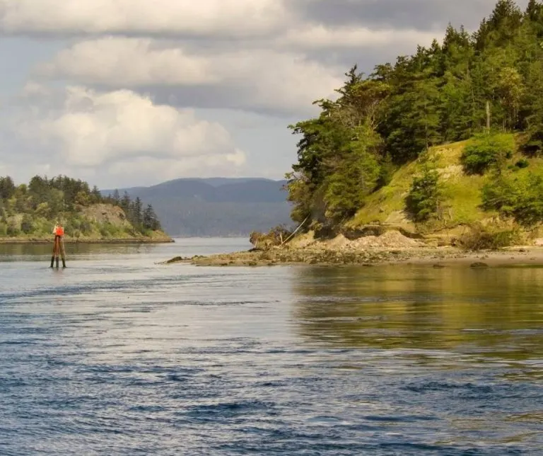 The San Juan Islands are some of the best island vacations for families