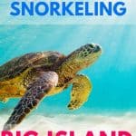 Big Island Snorkeling