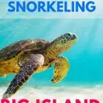 Big Island Snorkeling