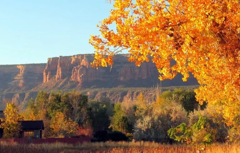 Colorado National Monument is a great place to discover Colorado fall color