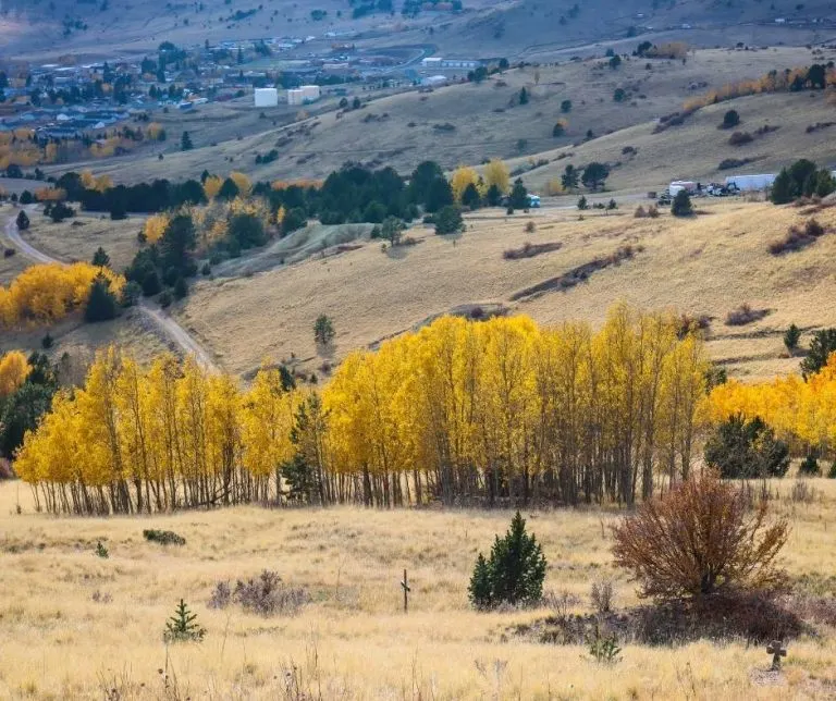 Cripple Creek Colorado fall foliage