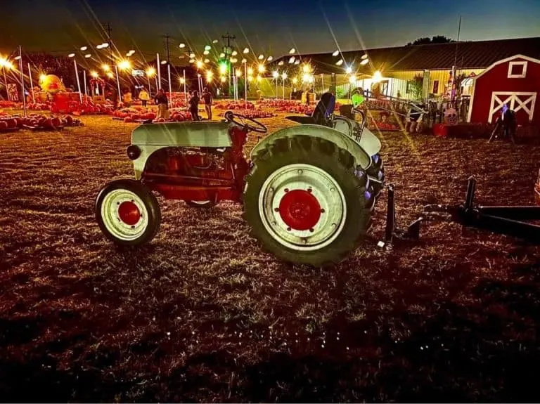 Good News Lutheran church hosts one of the best pumpkin patches in San Antonio