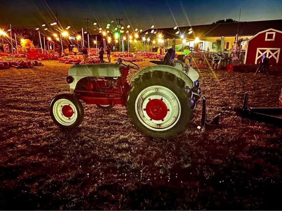 13 Fun Pumpkin Patches in San Antonio for 2023