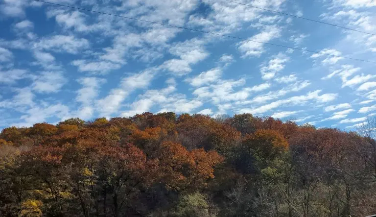 Yellow River State Forest in Iowa in the fall