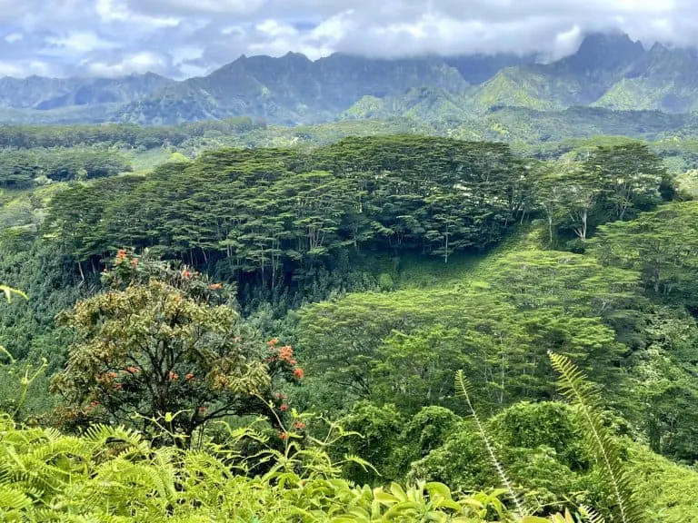 View from the Kuilau Ridge Trail