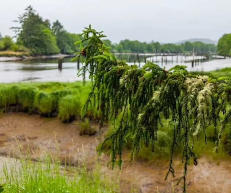 5 Oregon National Parks You Need to Visit! 1