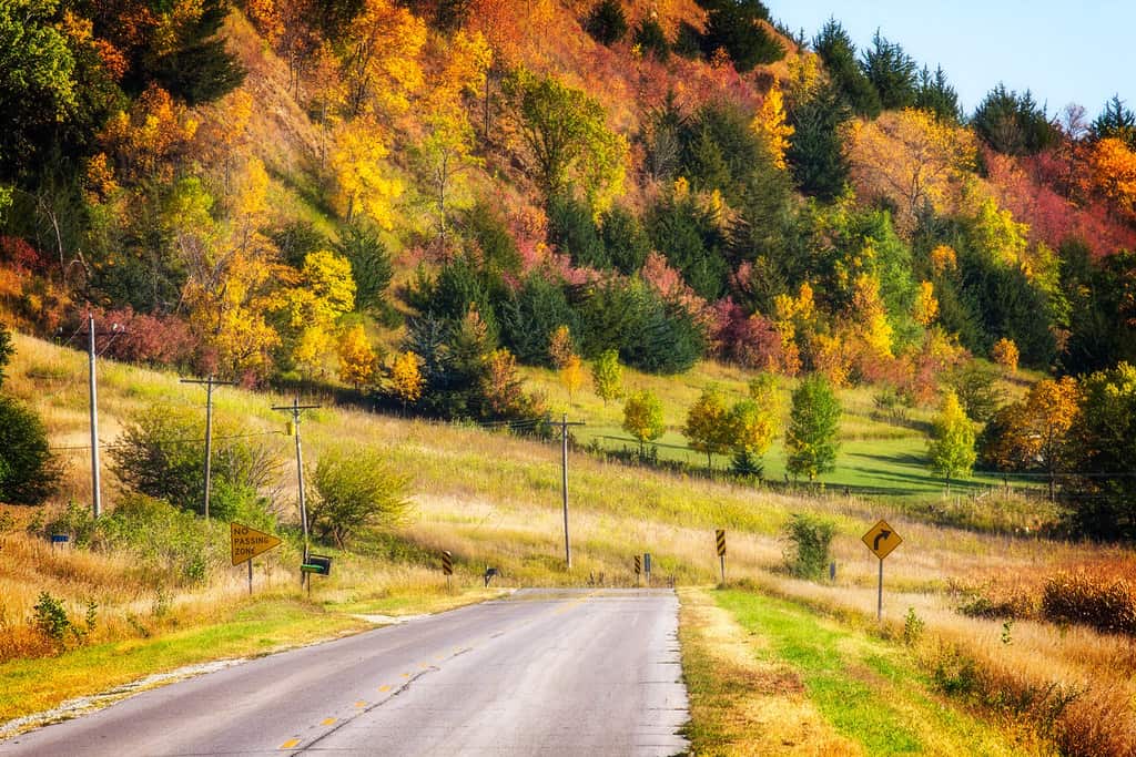 Iowa Fall Colors- 8 Places to Enjoy Fall Foliage in Iowa 4