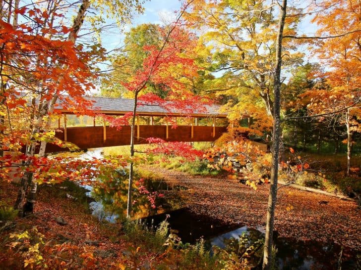 17 Great Places to See New York Fall Foliage