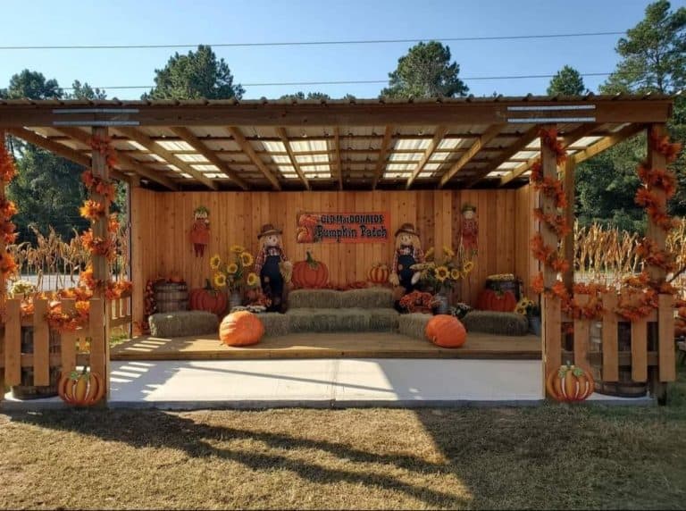 Old MacDonalds Farm is one of the best pumpkin patches in Houston