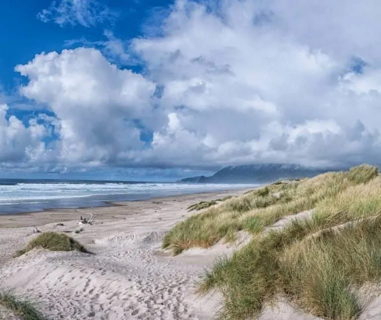 Oregon sand dunes at the beach