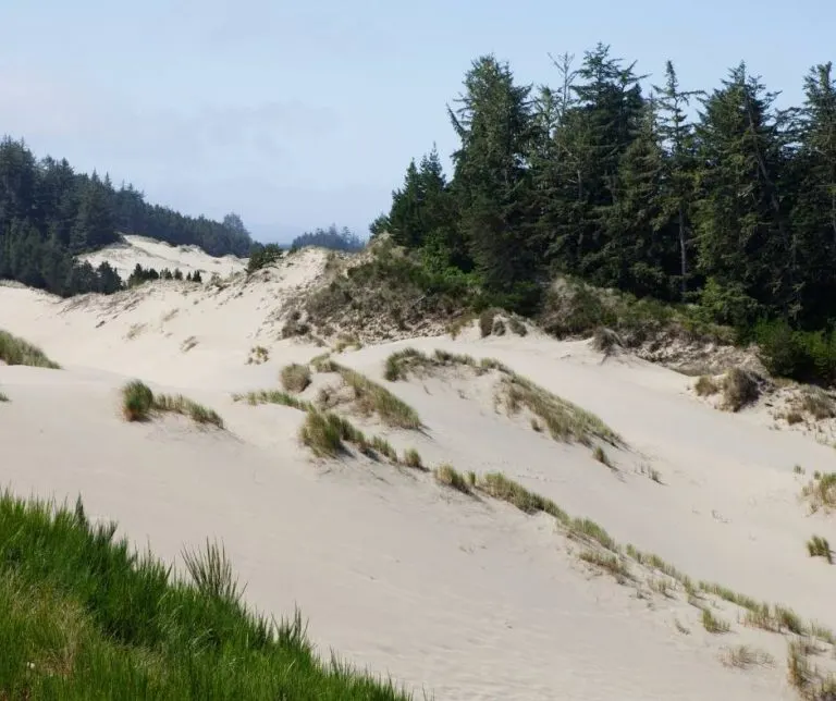 Oregon Dunes National Recreation Area is one of the Oregon National Parks