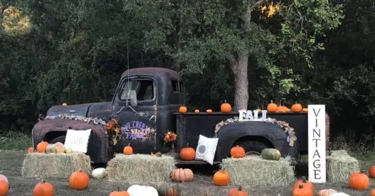 Owl Creek Farm in San Antonio hosts a pumpkin patch