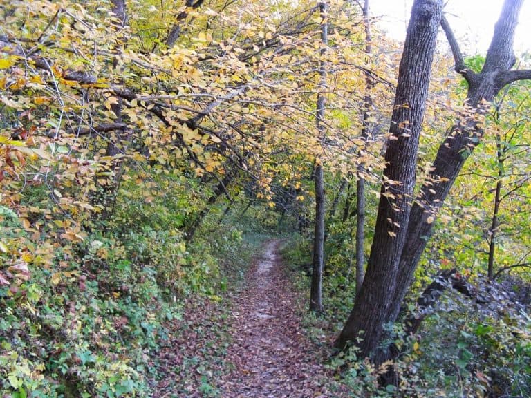 Trail around Dead Man's Lake in the fall