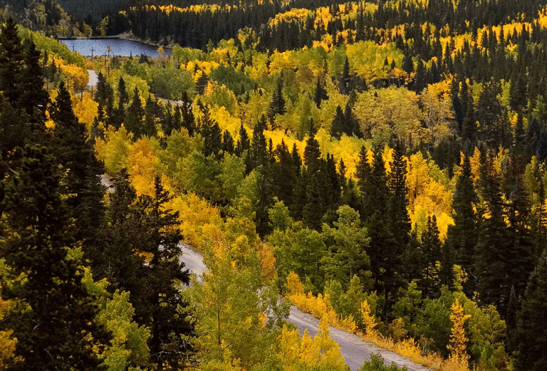 Guanella Pass in Colorado in the fall