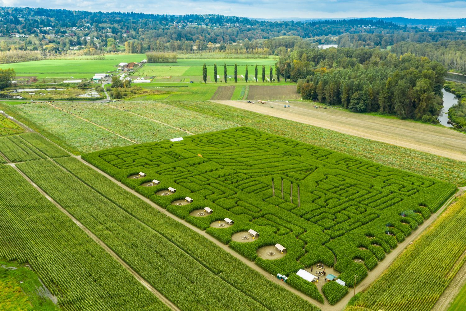 The 16 Best Pumpkin Patches Near Seattle for 2023