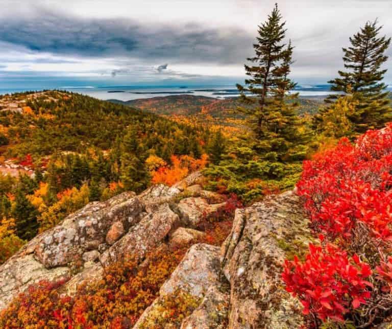 Acadia National Park Maine Fall Foliage