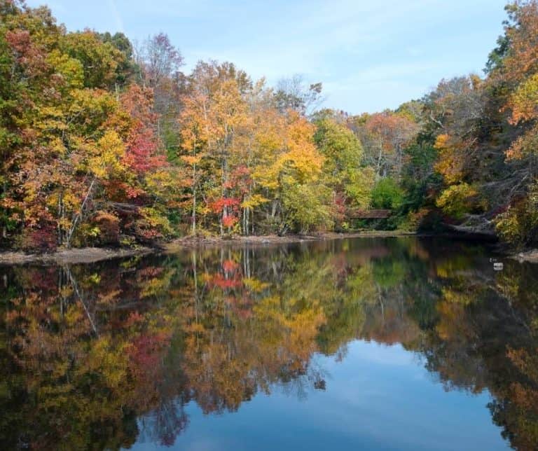 Alalire State Park in New Jersey during the autumn