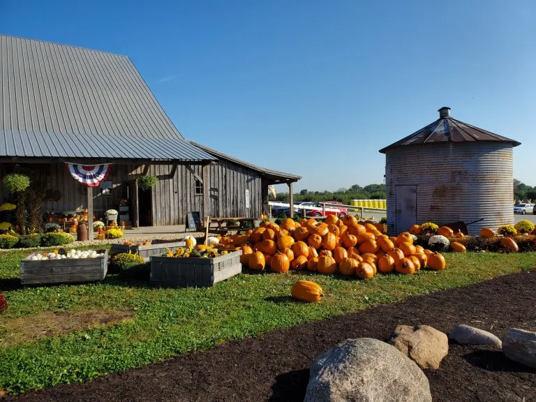 Beasley's Orchard is home to one of the best Indiana pumpkin patches