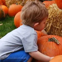 The Best Pumpkin Patches in Iowa