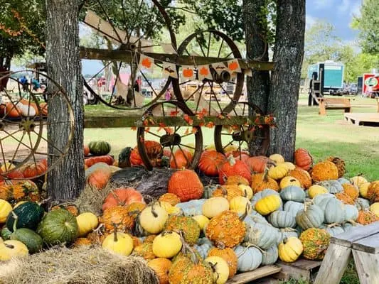 Blessington Farms near Houston, Texas