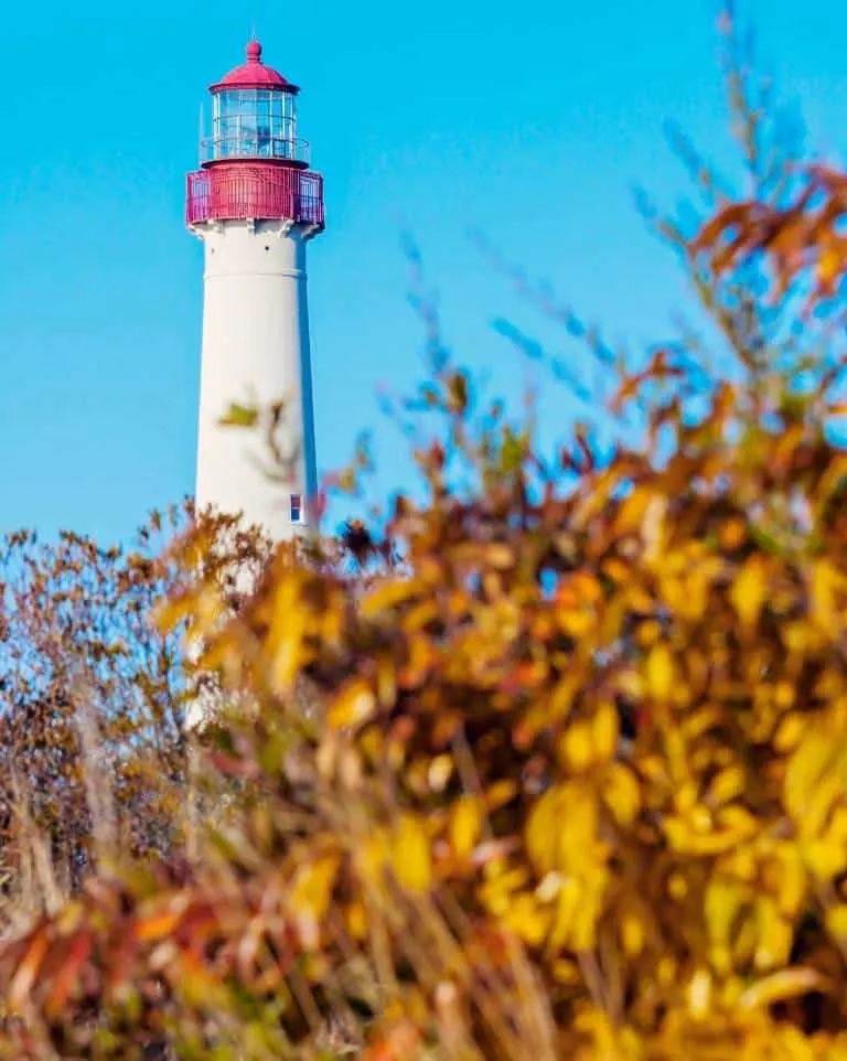 Cape May Fall Foliage