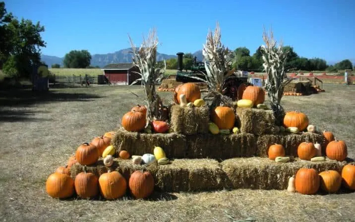 16 Great Pumpkin Patches in Colorado- Denver Metro & Beyond!