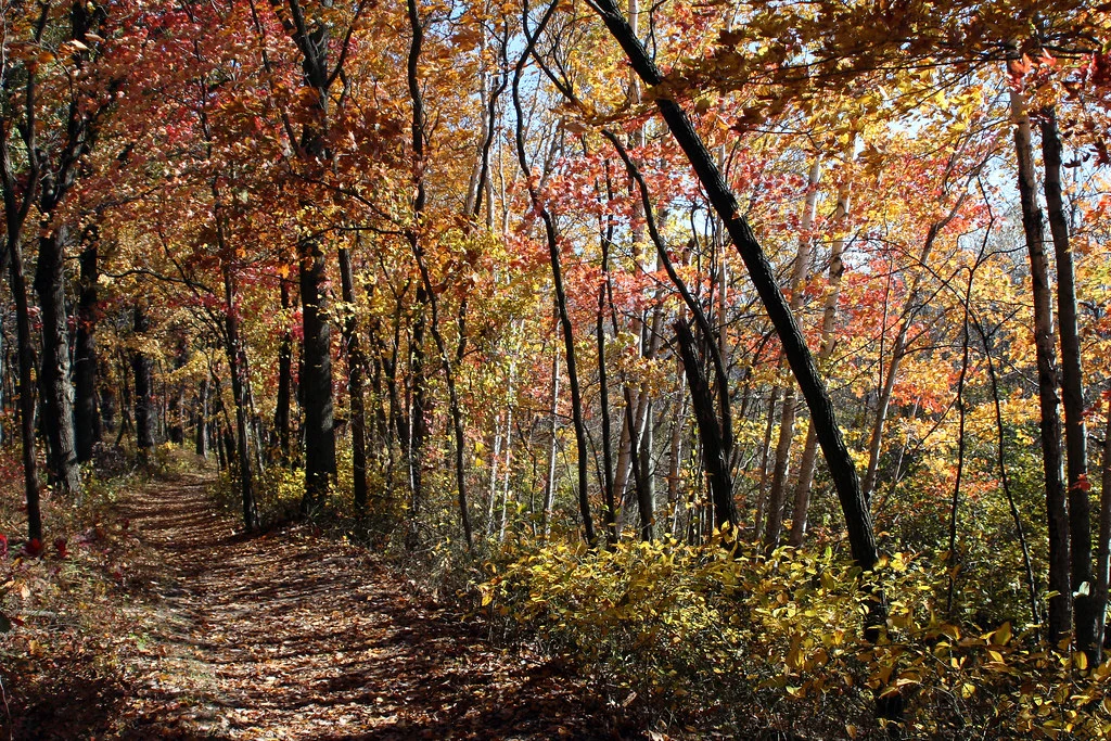 Fun Things to do in Indiana Dunes National Park 2