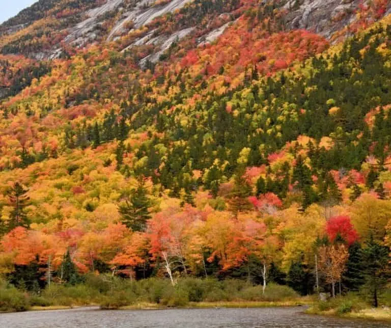 Mount Willard in autumn