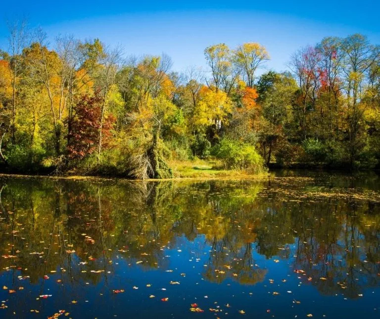 Delaware and Raritan Canal 