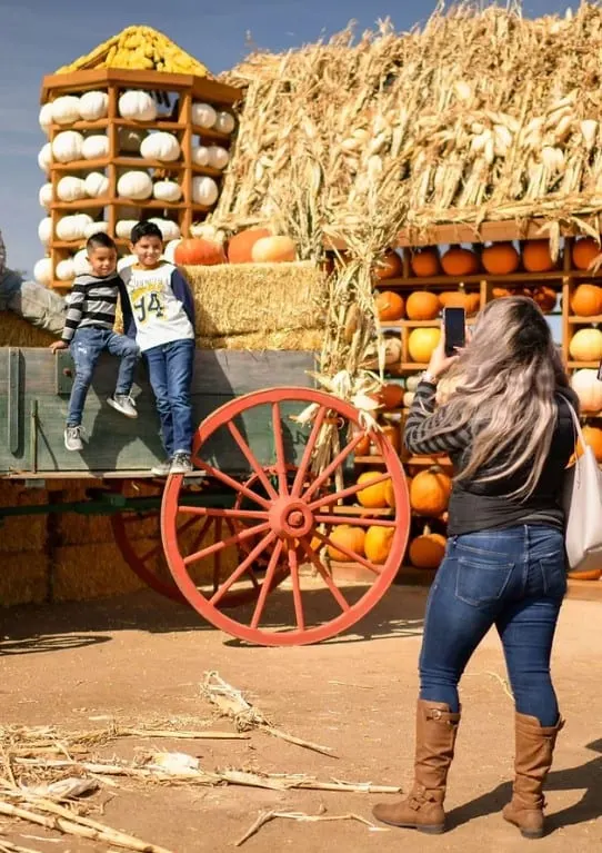 Fritzer Farm Park Pumpkin Patch