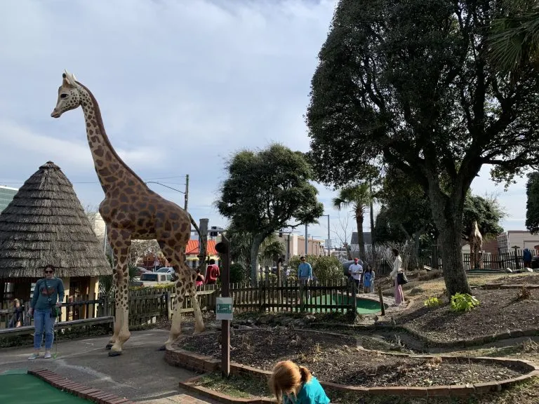 Fun Things to do in Virginia Beach with Kids - Jungle Golf