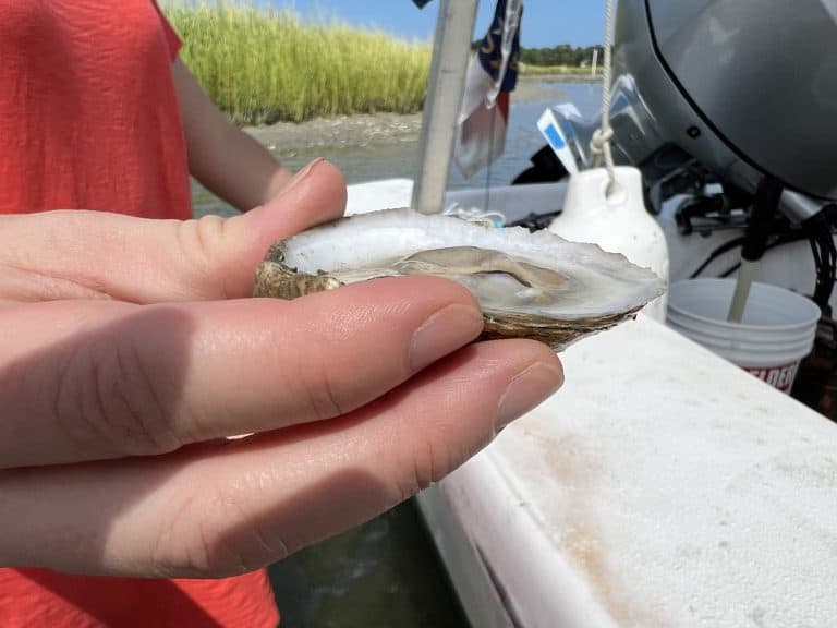 Fun Things to do in Virginia Beach with Kids - pleasure house oyster tour