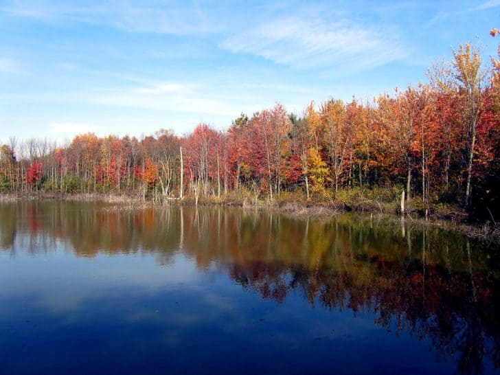 Michigan Fall Foliage- 12 Places For Fall Colors In Michigan