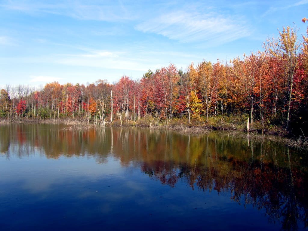 Michigan Fall Foliage- 11 Places to Enjoy Fall in Michigan 3