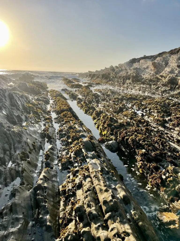 Tide Pools at Montaña de Oro State Park