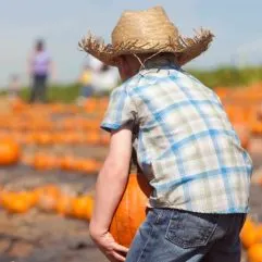 The 8 Best Indiana Pumpkin Patches